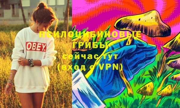 марки lsd Абаза