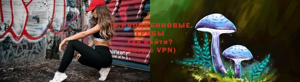 мет Новодвинск