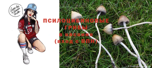 гидропоника Абдулино