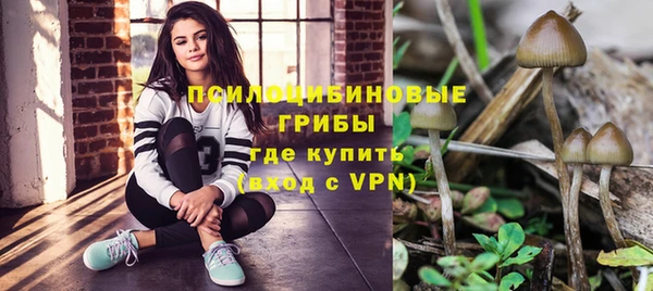 гидропоника Абдулино