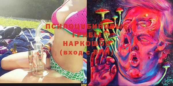 гидропоника Абдулино