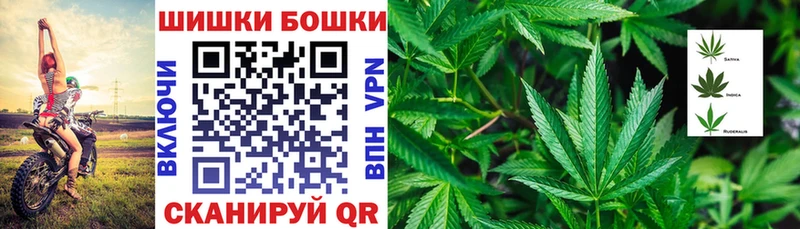 наркотики  площадка клад  Конопля ГИДРОПОН  Серафимович 